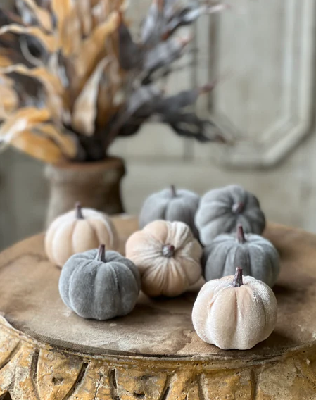 Velveteen Pumpkins - Bag of 7