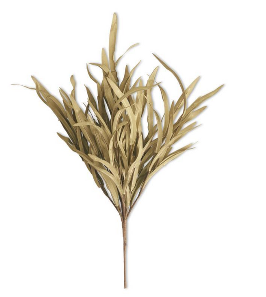 Eva Grass Bush - Green
