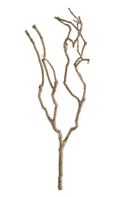 Tea Tree Branches
