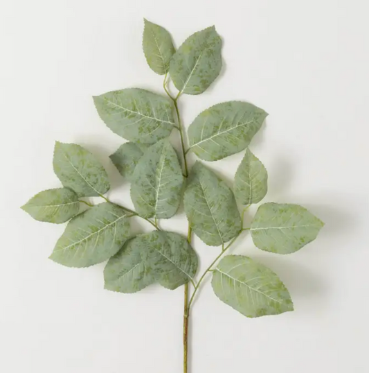 Long Lemon Leaf Spray