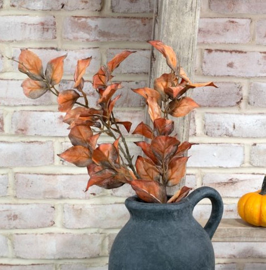 Fall Pyrostegia Stem