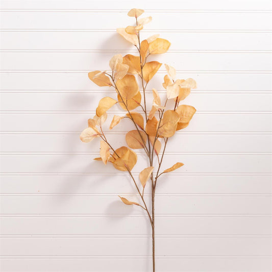 Spray - Eucalyptus Leaves - Cream