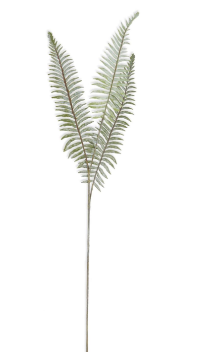 36" Real Touch Boston Fern Stem