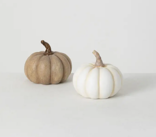 White & Brown Mini Pumpkin S/2