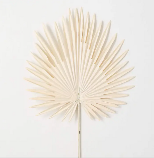 Cream Fan Palm Leaf