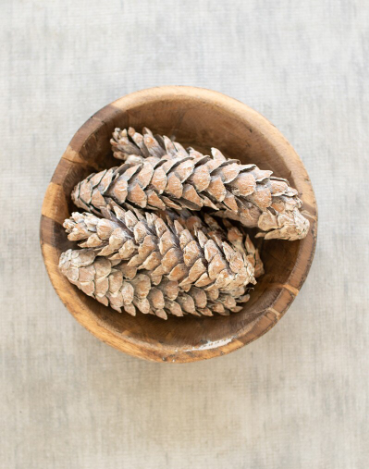 Faux Frosted Pinecones - Bag of 6