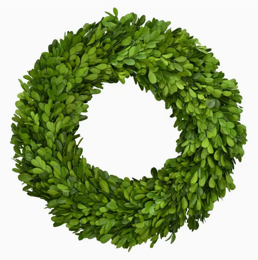 Boxwood Wreath 14"