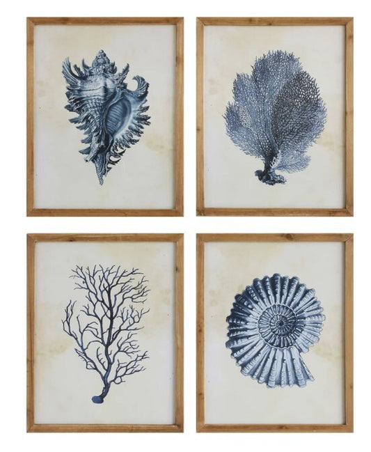 Wood Framed Indigo Blue Shells - Nautilus
