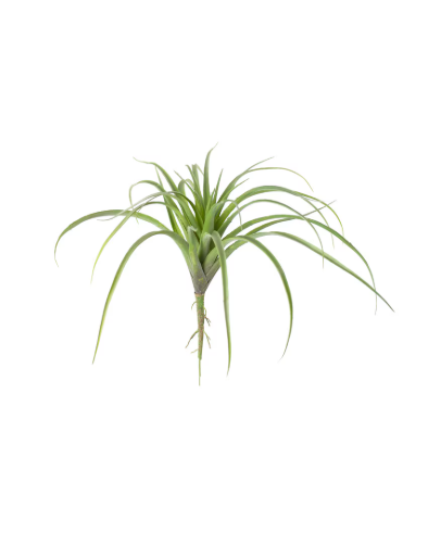 Artificial Air Plant
