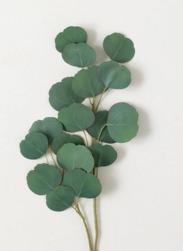 Silver Dollar Eucalyptus Spray