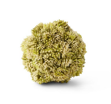 Light Green Sedum Ball