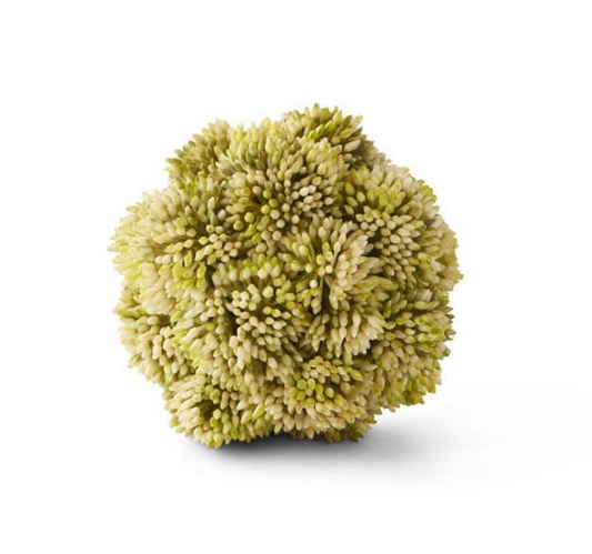Light Green Sedum Ball