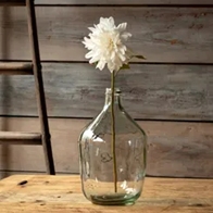 Fresh Touch Dahlia Stem