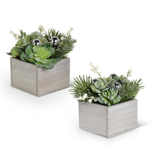 Glittered Succulents in Wooden Box