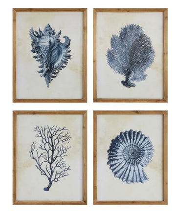 Wood Framed Indigo Blue Shells - Coral