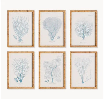 Sea Fan & Coral Study in Blue