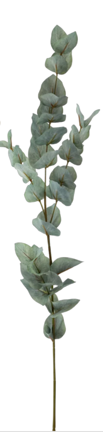 Eucalyptus Stem 35"