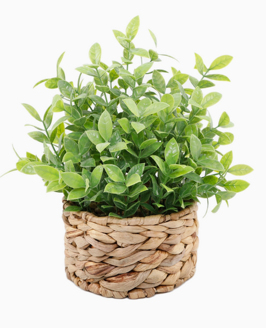 Faux Greenery in Braided Seagrass Pot