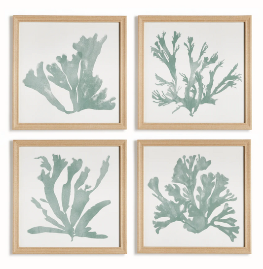 Coral Silhouette in Soft Green Wall Art