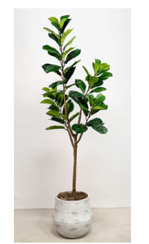 Large Faux Fiddle Fig Tree in Concrete Pot