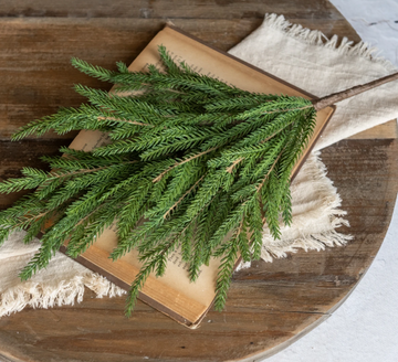 18" Soft Touch Norfolk Pine Pick