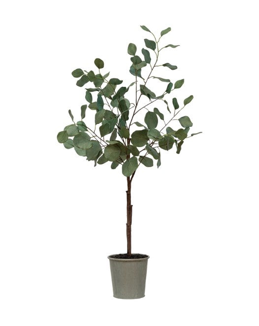 Faux Eucalyptus Tree in Pot