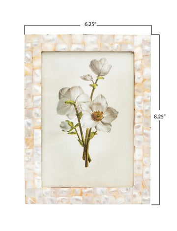 Mother of Pearl Frame