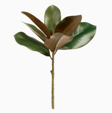 Magnolia Stem 16"