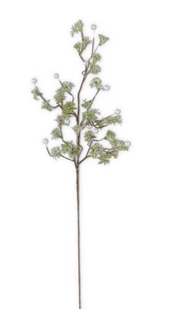 36 Inch Glittered & Flocked Fittonia Stem w/White Berries