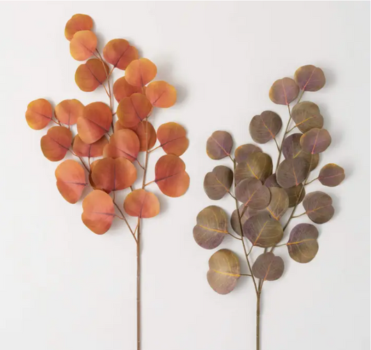 Fall Silver Dollar Eucalyptus