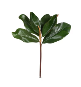 Magnolia Stem  15.75"