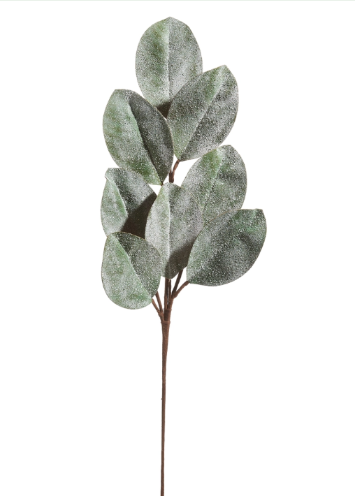 25.75" Iced Magnolia Leaf Spray