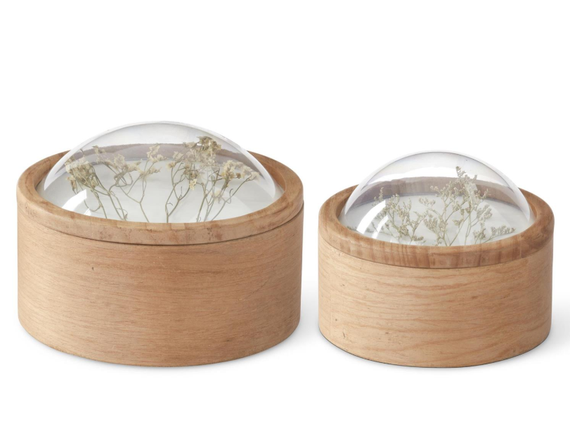 Dome Top Dried Floral Container- Large