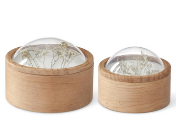 Dome Top Dried Floral Container- Large