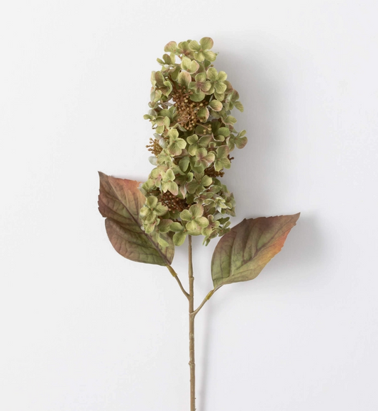 Hydrangea Spray - Green