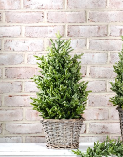 20" Glitter Topiary in Basket