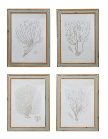Coral Silhouette in Soft Grey Wall Art