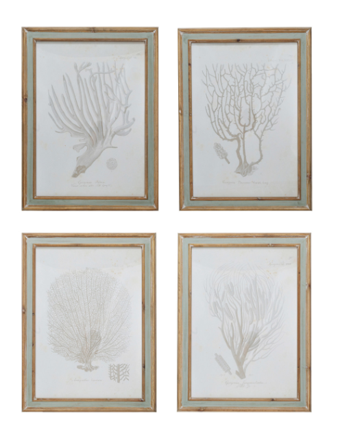 Coral Silhouette in Soft Grey Wall Art