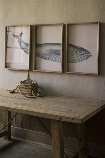 Framed Whale Triptych Print Under Glass