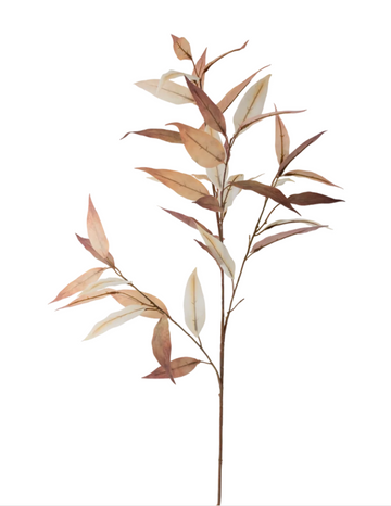 Silver Blade Eucalyptus 36" Stem
