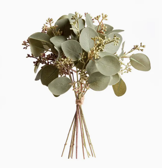 Silver Dollar Eucalyptus Bundle