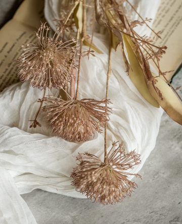 20.5" Rosewood Wild Leek Spray