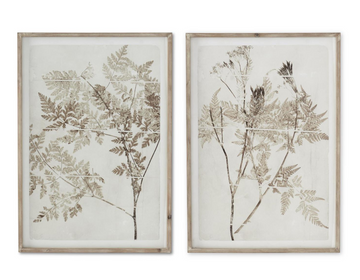 Wood Framed Cream Fern Prints