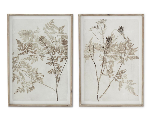 Wood Framed Cream Fern Prints