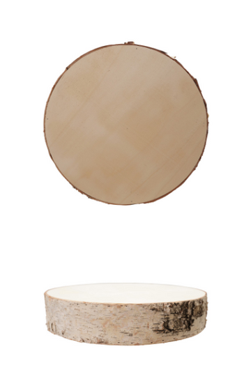 Poplar Wood Slice