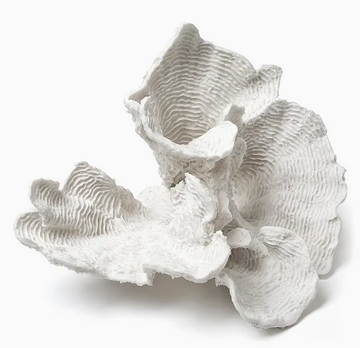 Large White Flower Coral