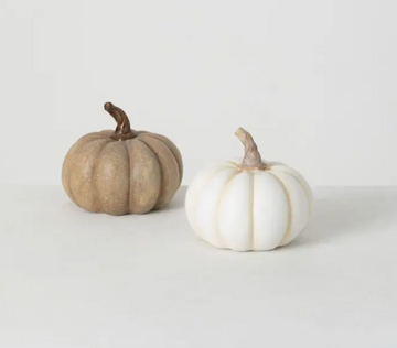 White & Brown Mini Pumpkin S/2