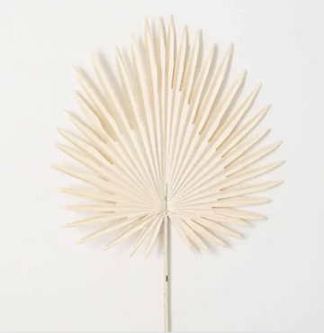 Cream Fan Palm Leaf