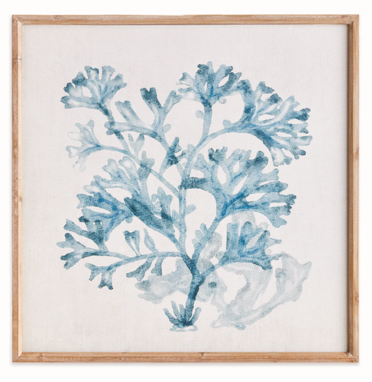 Translucent Coral Print