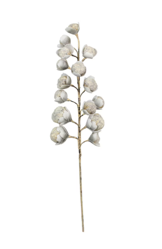 41 Inch Brown Pod Stem